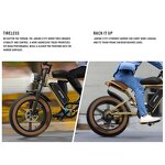 Ebike Factory - OEM Removable Dual Battery Long Range 750w