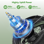 Electric Bicycle Factory - OEM 48V Fat Tire 750W City Bike