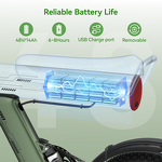 Electric Bicycle Factory - OEM 48V Fat Tire 750W City Bike