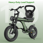 Electric Bicycle Factory - OEM 48V Fat Tire 750W City Bike