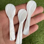 Mother of Pearl Spoon Supplier - OEM Hot Sale 7-9cm Natural Shell Spoon