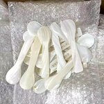 Mother of Pearl Spoon Supplier - OEM Hot Sale 7-9cm Natural Shell Spoon