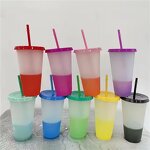 Color Changing Cup Manufacturer - OEM BPA Free 24 oz Plastic Drink Tumbler