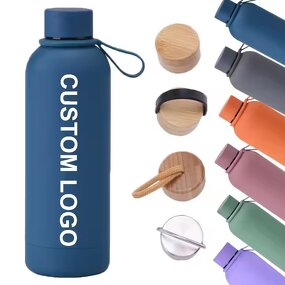 Stainless Steel Water Bottle Supplier - OEM Custom Logo 350-750ml Vacuum Bottle