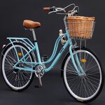 Lady Bike Manufacturer - OEM China Factory Fashional Vintage Leisure Bike
