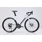 700C Bicycle Manufacturer - OEM Aluminum Alloy Dual Disc Brake Variable Speed