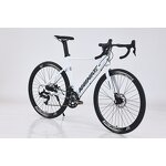 Lightweight Mountain Bicycle Manufacturer - OEM 18 Speed 700C Aluminum Alloy