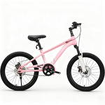 20 Inch Children Bike Factory - OEM Student Bicycle Single Speed Bisicleta