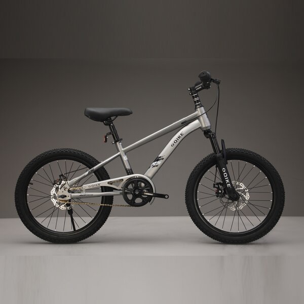 Cycle Supplier - OEM Wholesale Cheap 16-22 Inch High Carbon Steel Frame