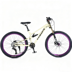 Mountain Bike Factory - OEM New Design Alloy/Steel Frame 21-27 Speed