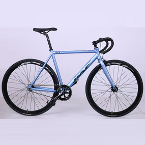 Fixed Gear Bike Factory - OEM Good Quality Factory Price Alloy Frame Bike