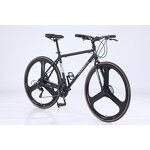 700C Mountain Bike Manufacturer - OEM Hot Sale Double Disc Brake Bike