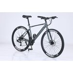 Racing Carbon Steel Bike Manufacturer - OEM Factory Wholesale 24-30 Speed
