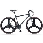 700C Mountain Bike Manufacturer - OEM Hot Sale Double Disc Brake Bike