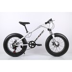 Beach Bicycle Manufacturer - OEM China Factory Direct 24-26 Inch Snow Bike