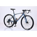 700c Racing Cycle Factory - OEM Factory Direct Sale 24 Speed Gravel Bike