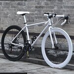 700c Disc Brake Bicycle Factory - OEM 21speed Light Aluminum Frame Road Bike