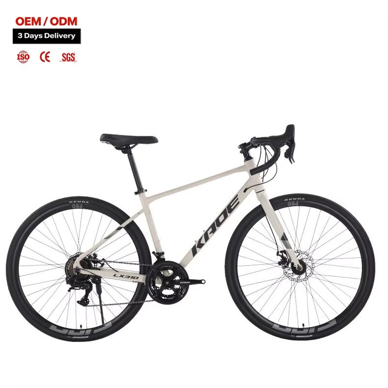 Urban Sports Bikes Factory - OEM Factory Wholesale 24-Speed Integrated Bar