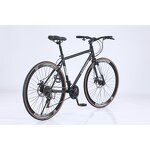 700C Mountain Bike Manufacturer - OEM Hot Sale Double Disc Brake Bike