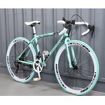 Women's Road Bike Manufacturer - OEM Adult Commuter High Carbon Steel Disc