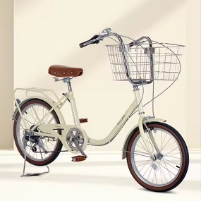 Vintage Style City Bike Manufacturer - OEM 20 Inch Student 7 Speed Basket
