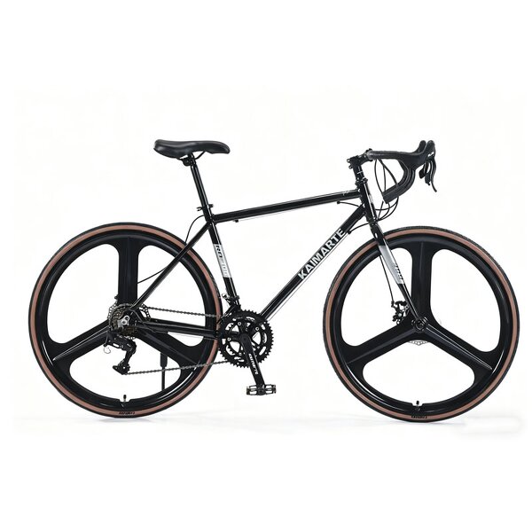 Professional Road Bike Factory - OEM 2025 China Factory 21 Speed Bike