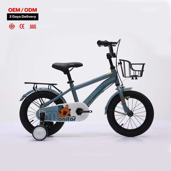 Kids Bike Manufacturer - OEM Quality 16 Inch Bicycle for 3-8 Years