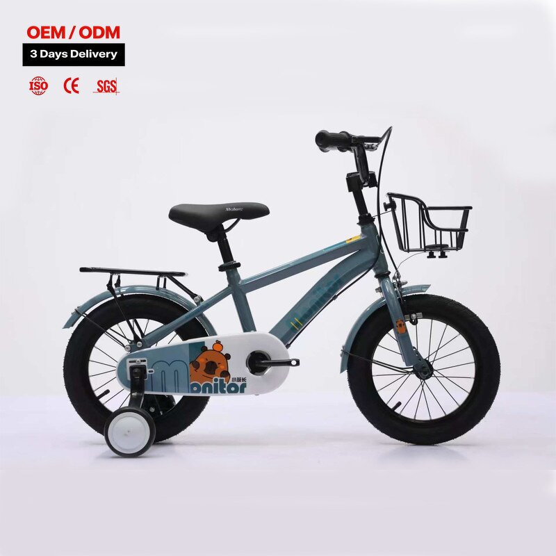 Kids Bike Manufacturer - OEM Quality 16 Inch Bicycle for 3-8 Years
