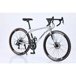 Professional Road Bike Factory - OEM 2025 China Factory 21 Speed Bike