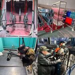 Student Bike Factory - OEM Wholesale 20-22 Inch Steel Frame City Bike