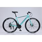 Racing Carbon Steel Bike Manufacturer - OEM Factory Wholesale 24-30 Speed