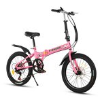 Custom Foldable Bicycle Factory - OEM Carbon Steel 20 Inch Double Disc Brake