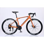Mountain Bike Supplier - OEM Hot Selling Double Disc Brake Curved Handlebars