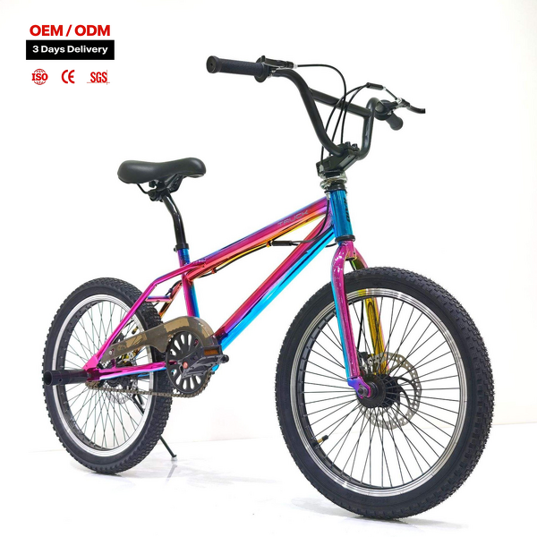 Aluminum Alloy BMX Bike Supplier - OEM 20 Inch Single Speed Mini Bicycle