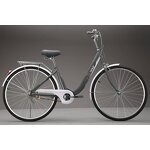 City Bike Factory - OEM China Factory OEM ODM High Quality Steel Frame