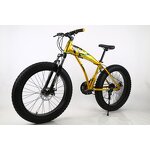 Fatbike Factory - OEM Low Price Full Suspension Carbon Fatbike Sport Cycle