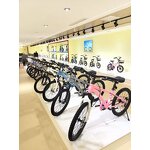 Cycle Supplier - OEM Wholesale Cheap 16-22 Inch High Carbon Steel Frame