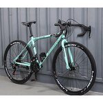 Women's Road Bike Manufacturer - OEM Adult Commuter High Carbon Steel Disc