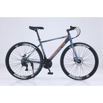 Racing Carbon Steel Bike Manufacturer - OEM Factory Wholesale 24-30 Speed