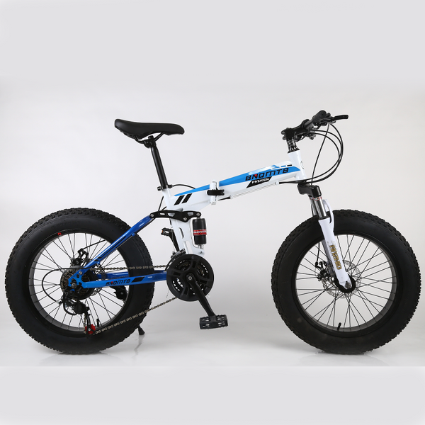 Folding Bicycle Manufacturer - OEM High Quality Carbon Steel Frame Disc