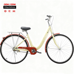 Woman Bike Factory - OEM China Wholesale Single Speed Mtb City Bicycle