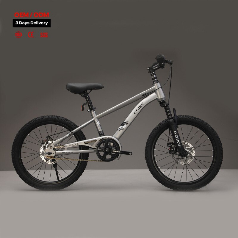 Children Bicycle Manufacturer - OEM 16-22 Inch High Carbon Steel Frame Bike