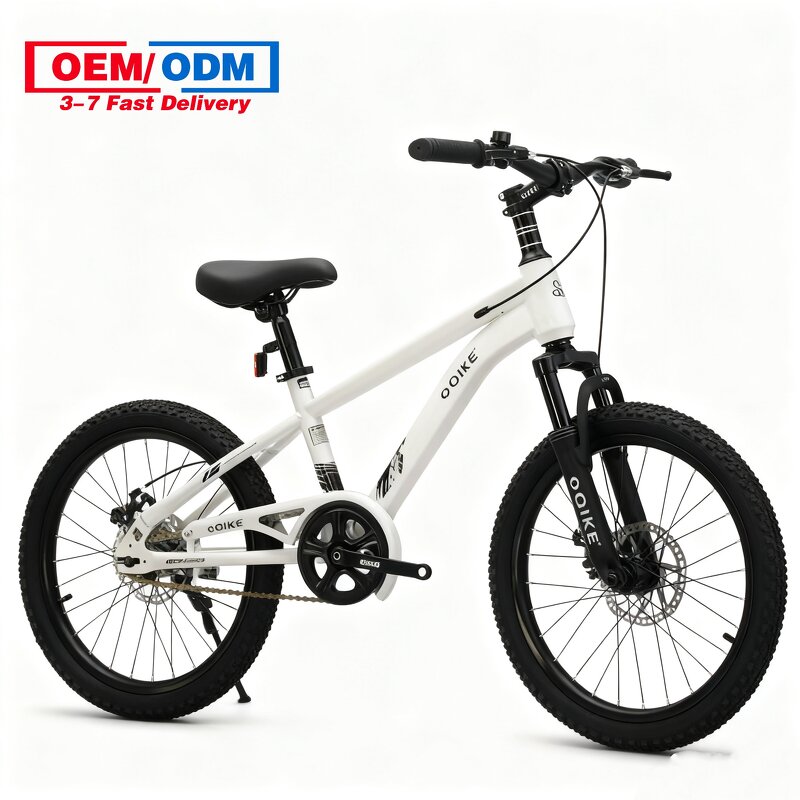 20 Inch Children Bike Factory - OEM Student Bicycle Single Speed Bisicleta