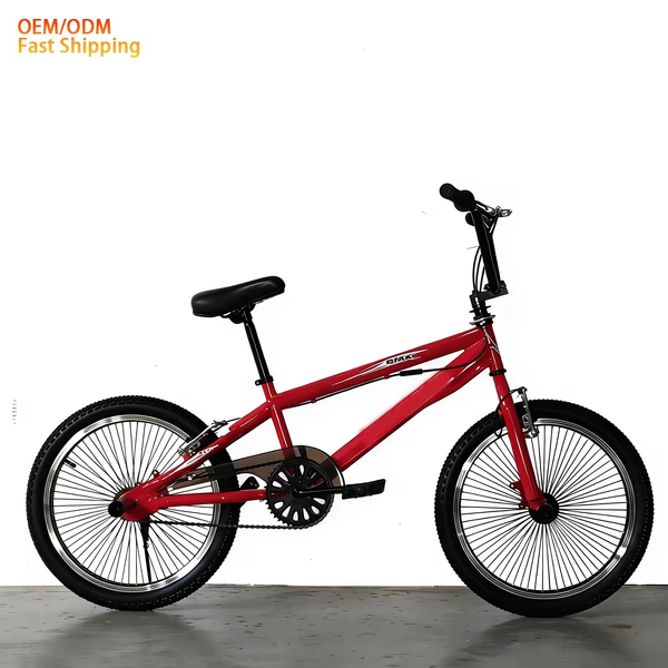 Beginner-Level BMX Bike Factory - OEM 20" Boys Girls Steel Frame Bike