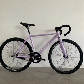 700C Classic Fixed Gear Bicycle Factory - OEM 2025 New Model Steel Fixie