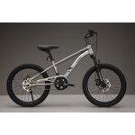 Children Bicycle Manufacturer - OEM 16-22 Inch High Carbon Steel Frame Bike