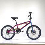 Aluminum Alloy BMX Bike Supplier - OEM 20 Inch Single Speed Mini Bicycle