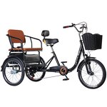 Adult Tricycle Supplier - OEM Factory Price 20-Inch Classic 3 Wheel Bike
