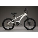 Cycle Supplier - OEM Wholesale Cheap 16-22 Inch High Carbon Steel Frame