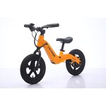 Magnesium Alloy Frame Balance Bike Factory - OEM 24V 120W Motor 12 Inch